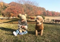 為什么有些孩子會出現想要＂養(yǎng)寵物＂的欲望