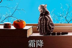 霜降丨縱然霜華盡染，心中美好如初